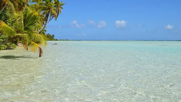 Melhores Praias de Santa Catarina para Morar em 2026: Ranking Completo